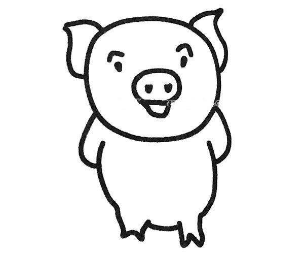 小猪简笔画图片3