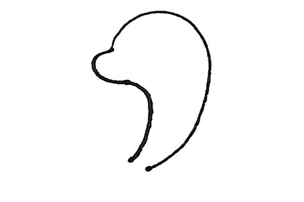 第二步：然后用弧线画出它的鼻子和腹部，但不要和另一条弧线连在一起。