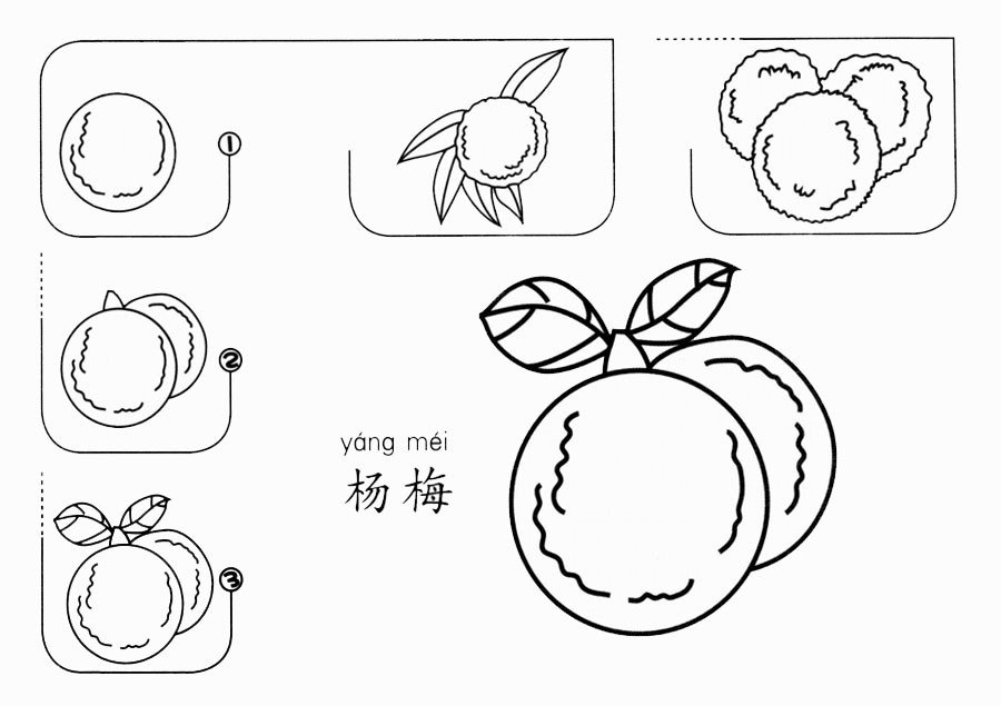 杨梅怎么画