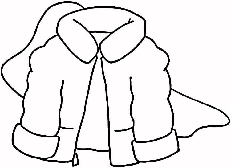 冬天的外套