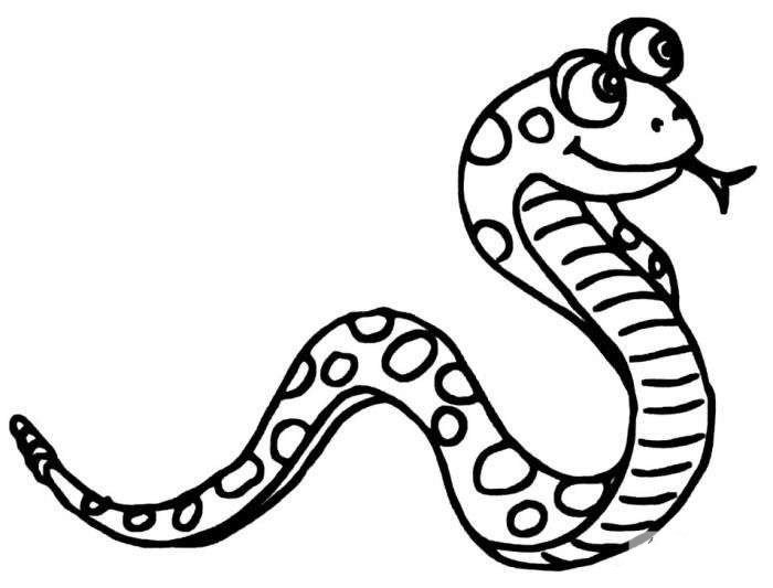关于蛇的简笔画图片精选