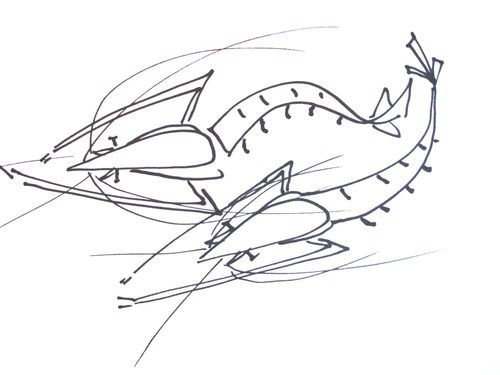 关于虾的简笔画画法