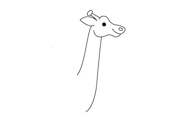 3.用两条弧线画出它长长的脖子。