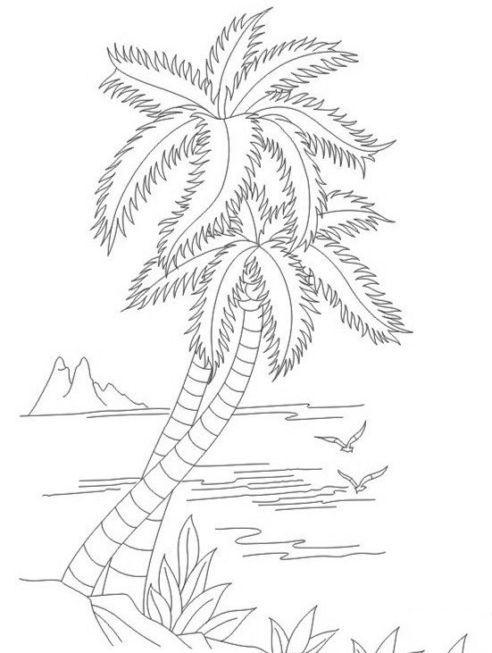 2016年儿童椰子树简笔画大全