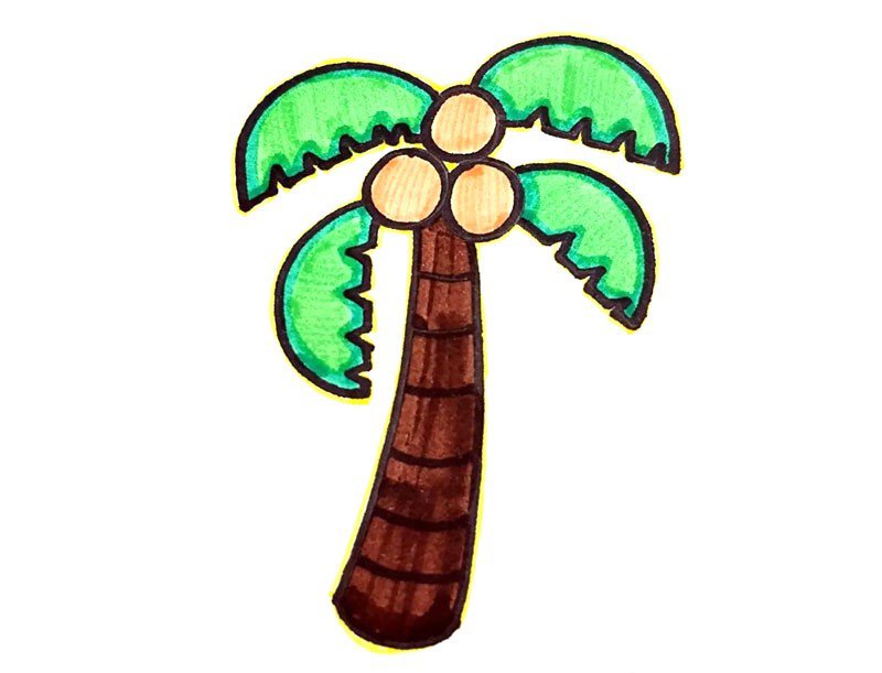 彩色椰子树简笔画