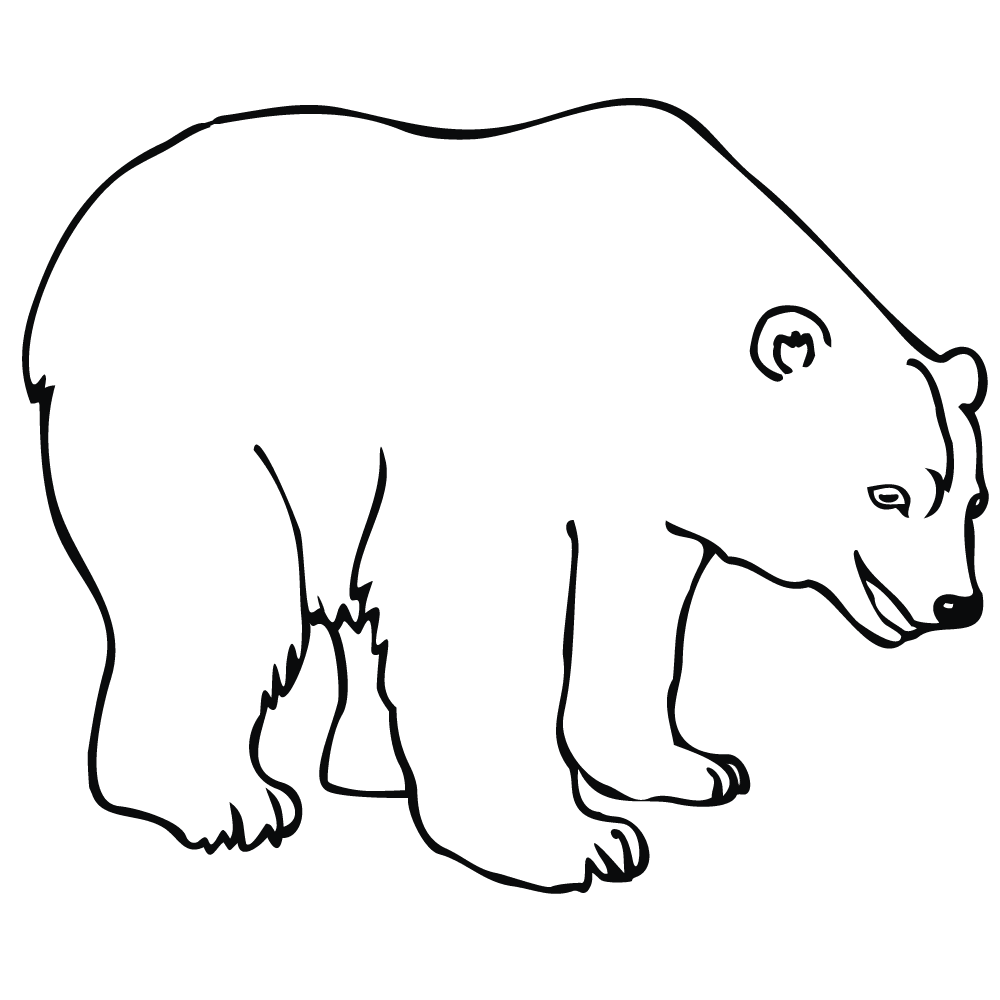 开心的北极熊
