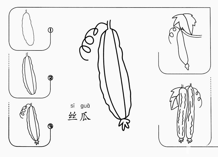 丝瓜怎么画