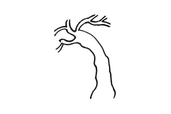 2.接下来画出柳树的树枝。