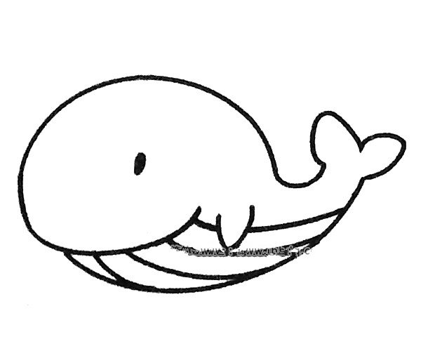 鲸鱼简笔画步骤4