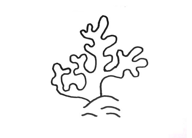 珊瑚简笔画