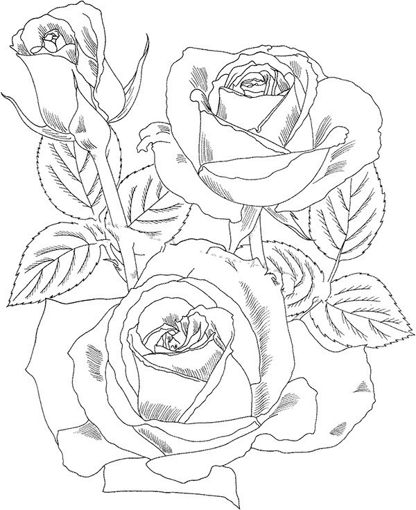 简单的玫瑰花画法大全