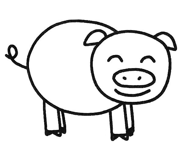 小猪简笔画图片2
