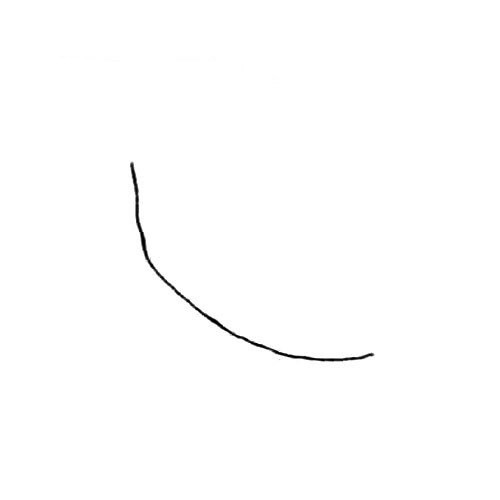 1.先画一条弧线。