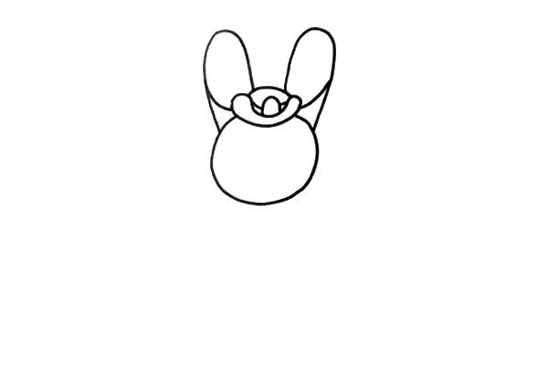 2.画出兔子的特征——两只大大长长的耳朵。