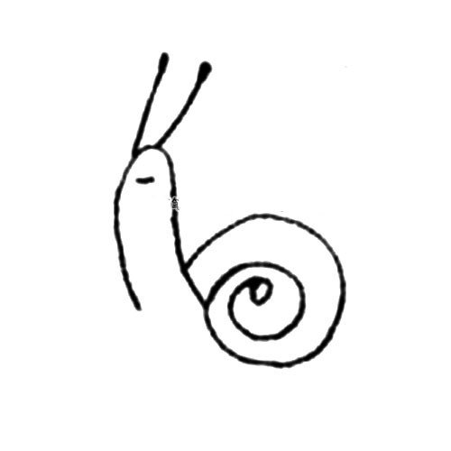 2.再画蜗牛的壳。