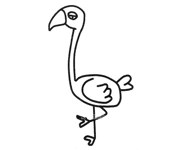 漂亮的火烈鸟简笔画图片2