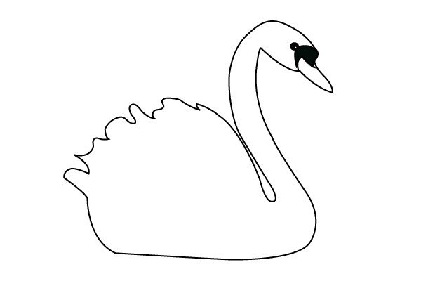 3.沿着脖子用曲线画出天鹅胖胖的身体，注意背部要用小波浪线，画出天鹅的羽毛。