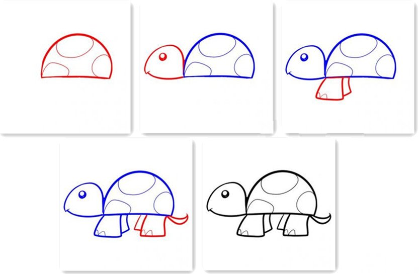 乌龟的画法