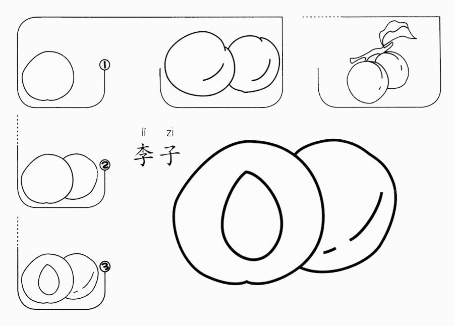 李子怎么画