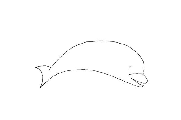 2.弧线顶端画上尾巴，连接两边的身体。然后画海豚张开的尖嘴巴，画的隆起一点儿。