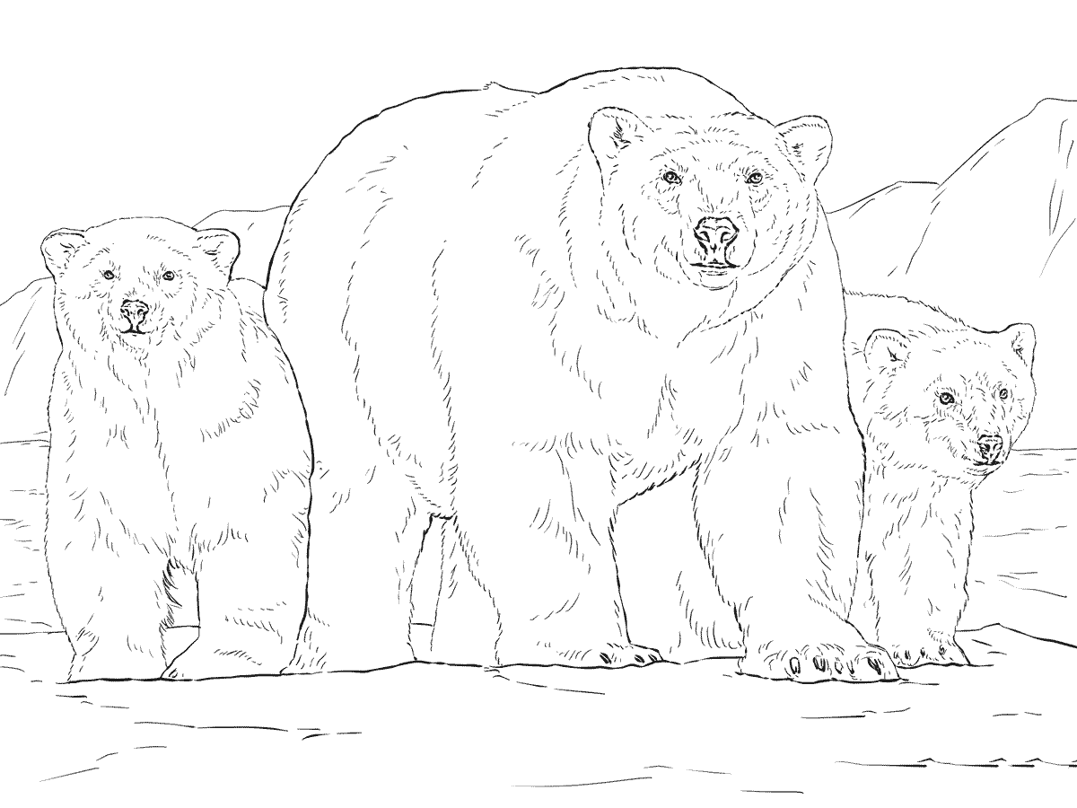 北极熊一家