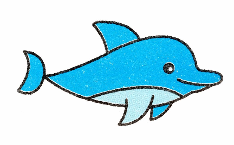 海豚简笔画画法