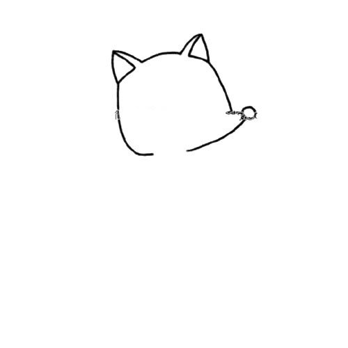 1.画出狐狸的头部耳朵和鼻子。