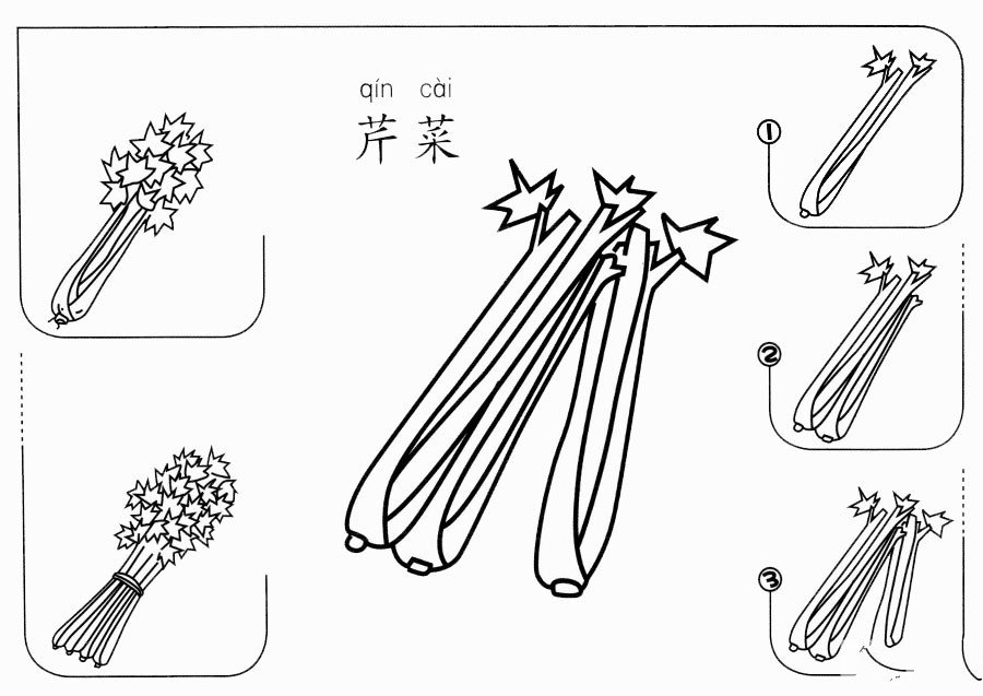 芹菜怎么画