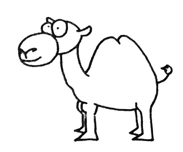 骆驼简笔画步骤4