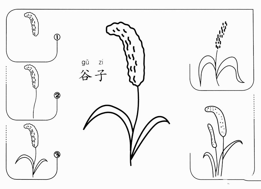 谷子怎么画