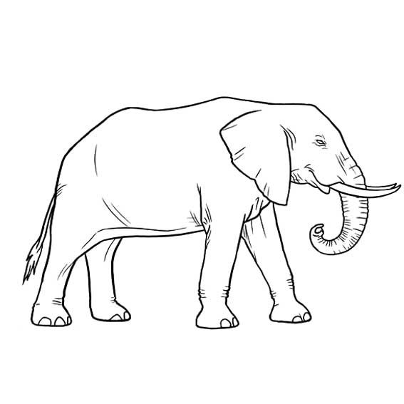 大象的简单画法