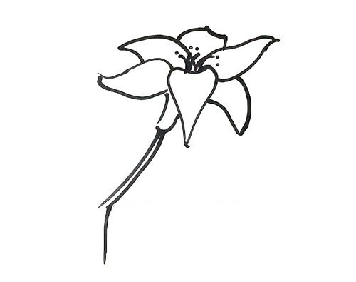 2.然后再画上向上的花瓣和重叠的花瓣，再画出花托和花枝。这里画花瓣的时候要注意花瓣的重叠效果。