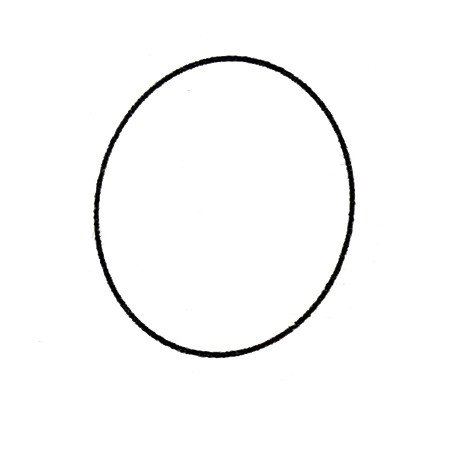 1.先画一个圆。
