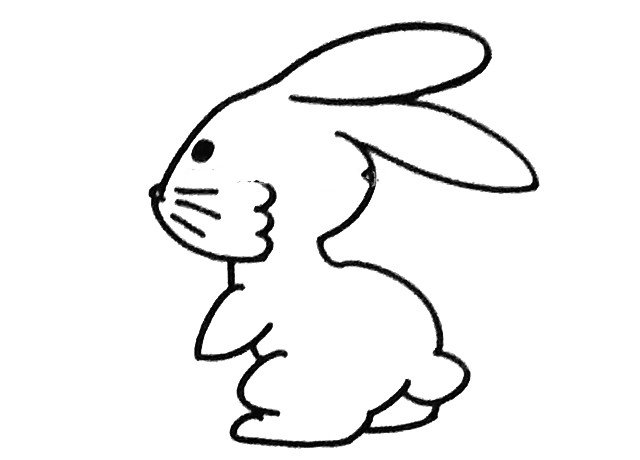 小兔子简笔画步骤4