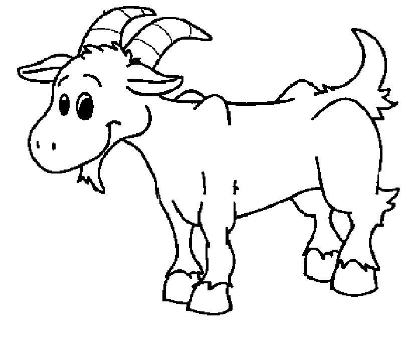 儿童卡通羊简笔画图片