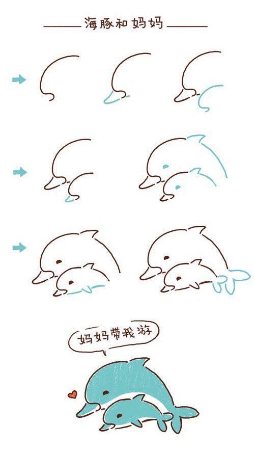 海豚和妈妈