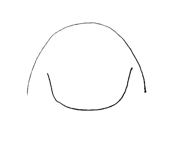 第一步：先在上面画上一个大的半圆，下面画上一个小一些的半圆。
