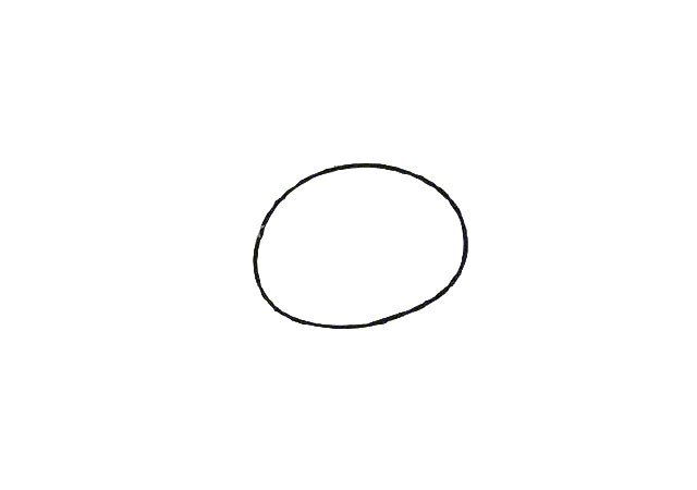 第一步：先画一个椭圆形。
