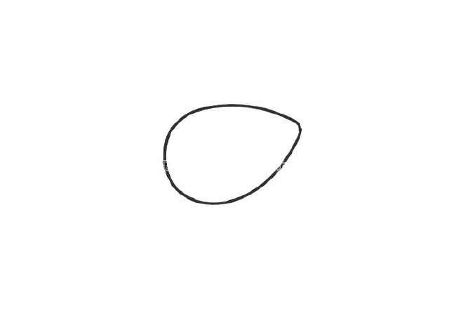 第一步：先画一个尖尖的椭圆。