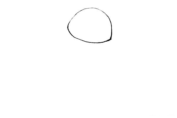 第一步：先画上一个半圆，再用弧线连接起来作为头的外形。
