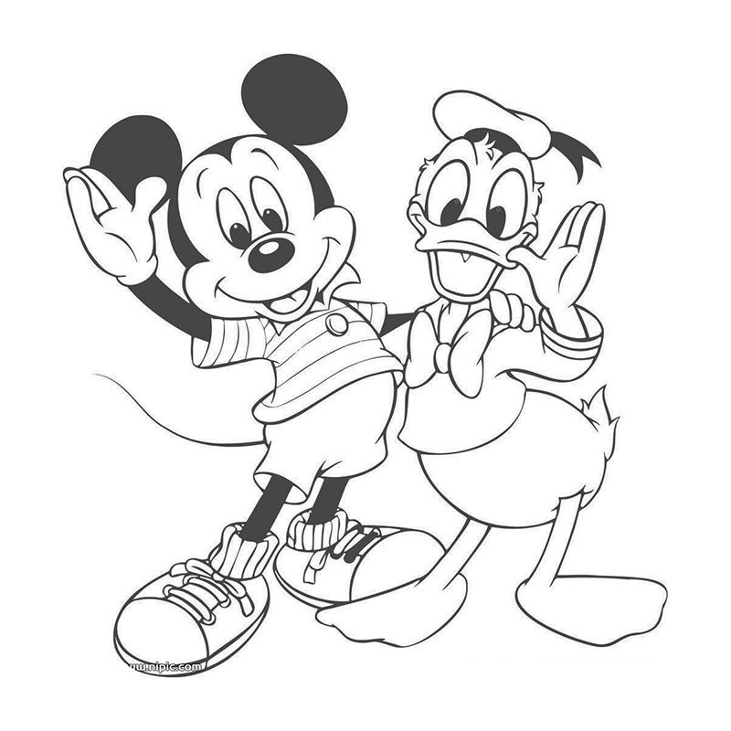 米老鼠和唐老鸭的简笔画