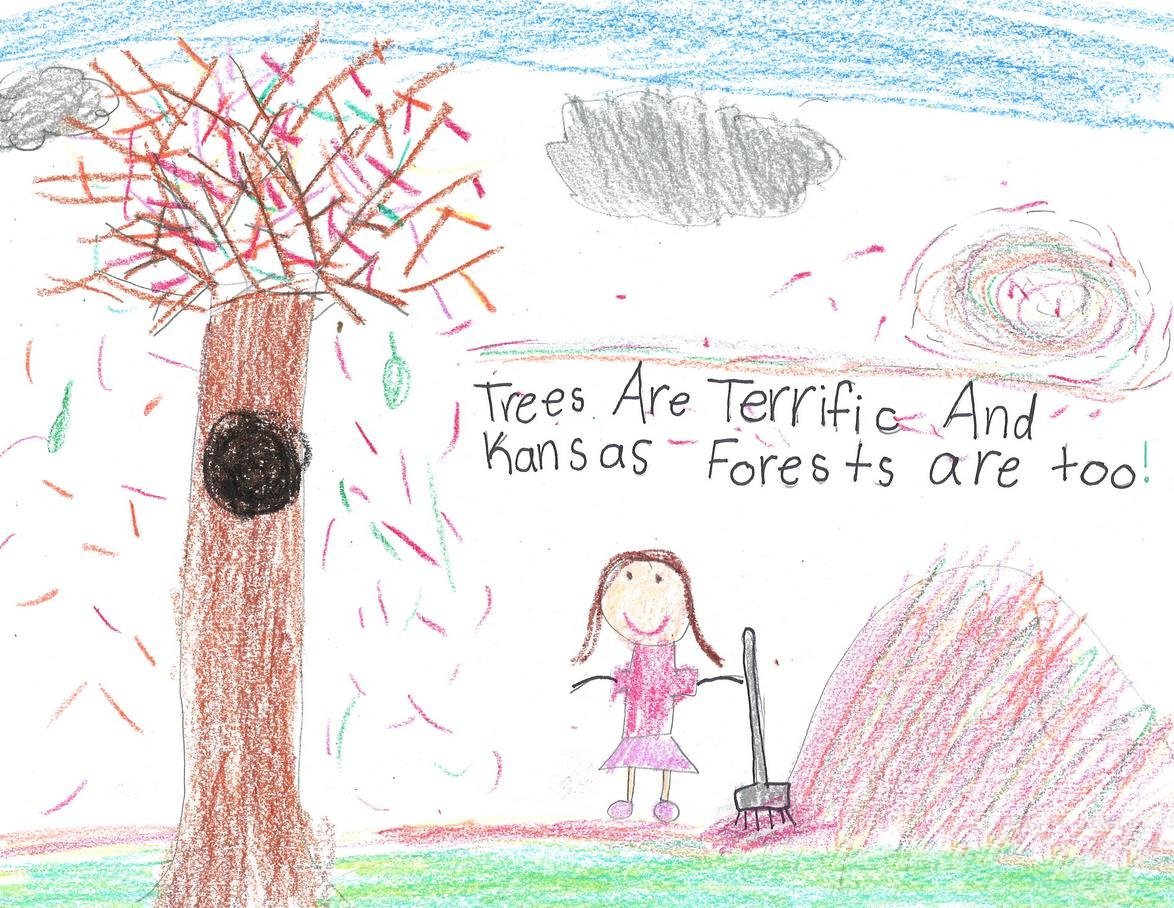 爱护大树画植树节的儿童画分享