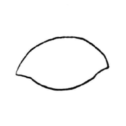 2.再用一条更圆滑的线画出饺子装馅的部分。