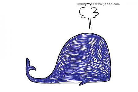 喷水的鲸鱼简笔画