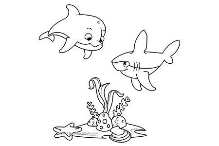 海底世界简笔画 可爱的海豚和鲨鱼