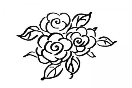 玫瑰花的多种画法