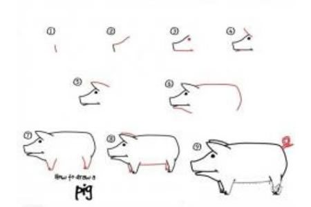 如何画猪 猪的简笔画教程