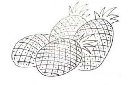 菠萝的简笔画画法