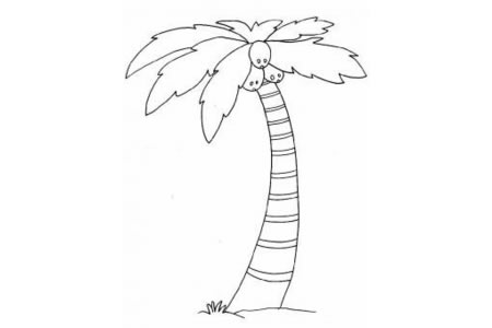 怎么画椰子树 椰子树的画法