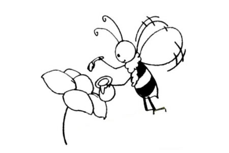 一组蜜蜂的简笔画图片